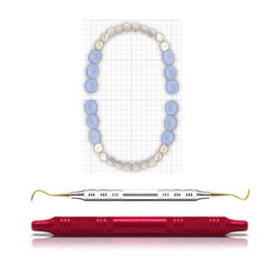 AMERICAN EAGLE Scaler Eagle Claw XP Technology Double Ended Handle