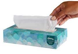 Kleenex Facial Tissue 2 Ply 100 Sheets 36 boxes/case