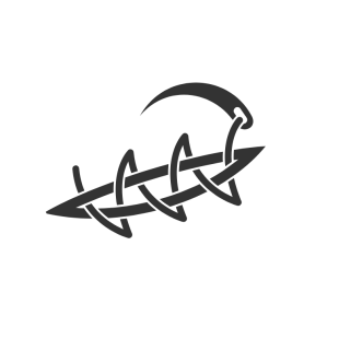 Surgical