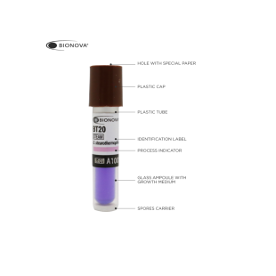 TERRAGENE 24h Biological Indicator for Steam, 100/Box